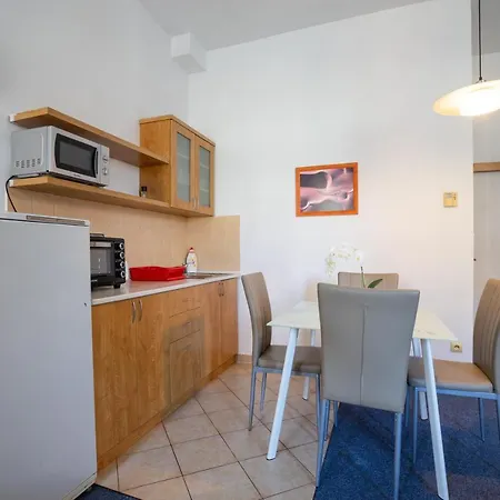 Apartment Studio Wellnerova 3 *