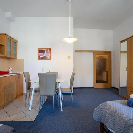 Apartment Studio Wellnerova 3 *